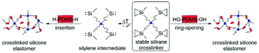 Graphical abstract: Application of multifunctional silylenes and siliranes as universal crosslinkers for metal-free curing of silicones