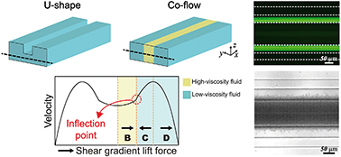 Graphical abstract: Enhancement of inflection point focusing and rare-cell separations from untreated whole blood