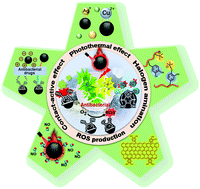 Graphical abstract: Polydopamine antibacterial materials