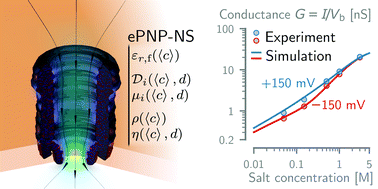 Graphical abstract: Accurate modeling of a biological nanopore with an extended continuum framework