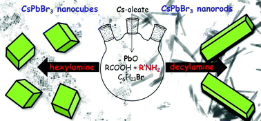 Graphical abstract: A new route for the shape differentiation of cesium lead bromide perovskite nanocrystals with near-unity photoluminescence quantum yield