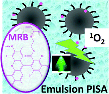 Graphical abstract: Photoactive rose bengal-based latex via RAFT emulsion polymerization-induced self-assembly