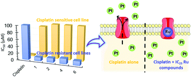 Graphical abstract: Unprecedented collateral sensitivity for cisplatin-resistant lung cancer cells presented by new ruthenium organometallic compounds