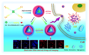 Graphical abstract: A versatile synthetic approach to tunable dual-emissive Pdots with very small-size based on amphiphilic block copolymers for cell imaging
