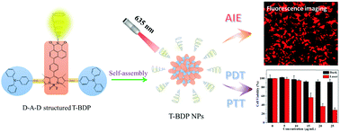 Graphical abstract: Small organic molecule-based nanoparticles with red/near-infrared aggregation-induced emission for bioimaging and PDT/PTT synergistic therapy