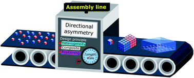 Graphical abstract: Directional asymmetry over multiple length scales in reticular porous materials