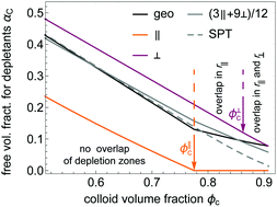 Graphical abstract: Directional-dependent pockets drive columnar–columnar coexistence