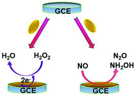 Graphical abstract: A metal–organic framework with multienzyme activity as a biosensing platform for real-time electrochemical detection of nitric oxide and hydrogen peroxide