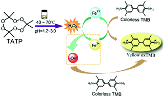 Graphical abstract: Visual colorimetric detection of triacetone triperoxide based on a Fe(ii)-promoted thermal decomposition process