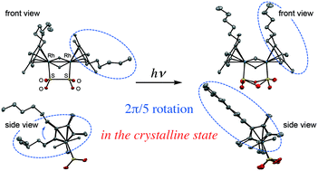 Graphical abstract: Molecular motion in organometallic crystals: photoinduced 2π/5 rotation of n-hexyltetramethylcyclopentadienyl ligand