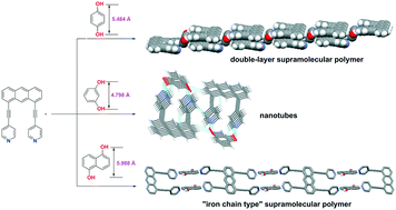 Graphical abstract: Formation of sandwich, macrocyclic and box supramolecular assemblies that were controlled by the distance of two oxygen atoms in hydrogen bonding donors