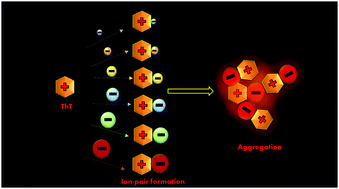 Graphical abstract: Effect of counter-anions on the aggregation of Thioflavin-T