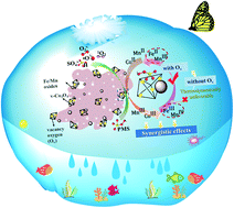 Graphical abstract: Oxygen vacancy enhances the catalytic activity of trimetallic oxide catalysts for efficient peroxymonosulfate activation