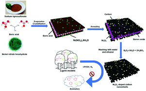 Graphical abstract: Eco-friendly preparation of ultrathin biomass-derived Ni3S2-doped carbon nanosheets for selective hydrogenolysis of lignin model compounds in the absence of hydrogen