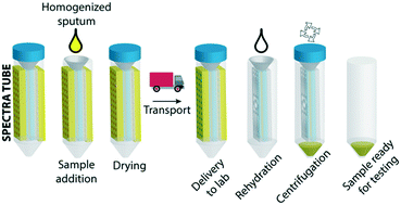 Graphical abstract: A large-volume sputum dry storage and transportation device for molecular and culture-based diagnosis of tuberculosis
