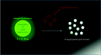 Graphical abstract: Aggregation induced delayed green fluorescence from assembly of gold nanoclusters: an advanced probe for “background free” pyrophosphate recognition