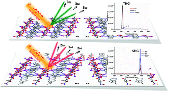 Graphical abstract: Distinct nonlinear optical responses in three pairs of 2D homochiral Ag(i) enantiomers modulated by dicarboxylic acid ligands