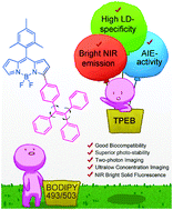 Graphical abstract: Bright near-infrared α-tetraphenyletheneBODIPY nanoprobes with high aggregated state emission quantum yields in aqueous system for lipid droplet-specific imaging