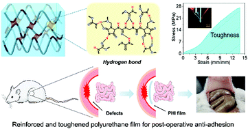 Graphical abstract: Hydrogen bond reinforced, transparent polycaprolactone-based degradable polyurethane