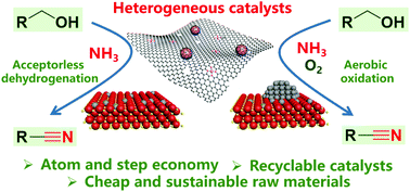 Graphical abstract: The ammoxidation of alcohols over heterogeneous catalysts for the green synthesis of nitriles