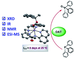 Graphical abstract: Characterization and chemical reactivity of room-temperature-stable MnIII–alkylperoxo complexes