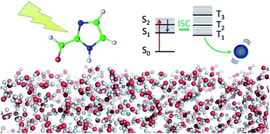 Graphical abstract: Photosensitization mechanisms at the air–water interface of aqueous aerosols