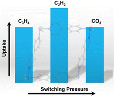 Graphical abstract: Adsorbate-dependent phase switching in the square lattice topology coordination network [Ni(4,4′-bipyridine)2(NCS)2]n