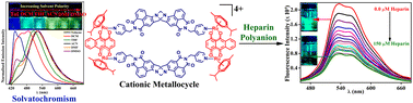 Graphical abstract: Synthesis, characterization, and heparin-binding study of a self-assembled p-cymene-Ru(ii) metallocycle based on a 4-amino-1,8-naphthalimide Tröger's base supramolecular scaffold