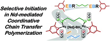 Graphical abstract: Design of selective divalent chain transfer agents for coordinative chain transfer polymerization of ethylene and its copolymerization with butadiene