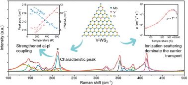 Graphical abstract: Raman spectroscopy and carrier scattering in 2D tungsten disulfides with vanadium doping