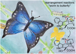 Graphical abstract: Natural product total synthesis using rearrangement reactions