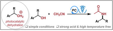 Graphical abstract: Photocatalytic dehydrations for the Ritter reaction