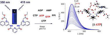 Graphical abstract: Efficient fluorescent recognition of ATP/GTP by a water-soluble bisquinolinium pyridine-2,6-dicarboxamide compound. Crystal structures, spectroscopic studies and interaction mode with DNA