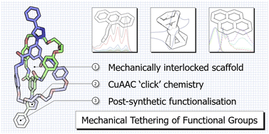 Graphical abstract: Emerging properties from mechanical tethering within a post-synthetically functionalised catenane scaffold