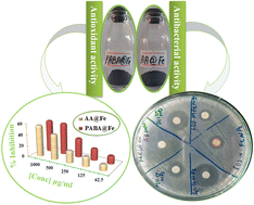 Graphical abstract: Tailoring the antibacterial and antioxidant activities of iron nanoparticles with amino benzoic acid