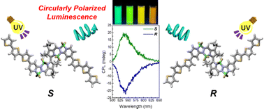 Graphical abstract: Color-tuning and boosting circularly polarized luminescence performance of axially chiral tetra-BF2 complexes by post-modifications
