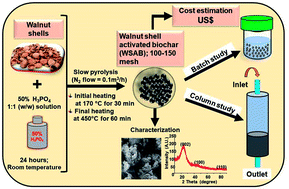 Graphical abstract: Aqueous ibuprofen sorption by using activated walnut shell biochar: process optimization and cost estimation