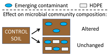 Graphical abstract: Effect of emerging contaminants on soil microbial community composition, soil enzyme activity, and strawberry plant growth in polyethylene microplastic-containing soils