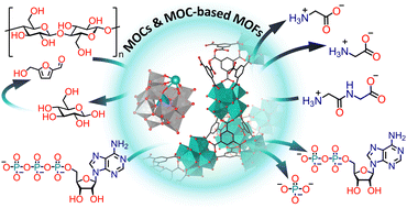 Graphical abstract: Reactivity of metal–oxo clusters towards biomolecules: from discrete polyoxometalates to metal–organic frameworks