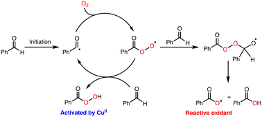 Graphical abstract: Mechanistic studies on catalytic alkane oxidation by Murahashi's O2/copper(ii)/aldehyde system