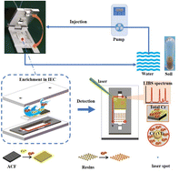 Graphical abstract: Detection of chromium in different valence states in water and soil using laser-induced breakdown spectroscopy combined with an ion enrichment chip