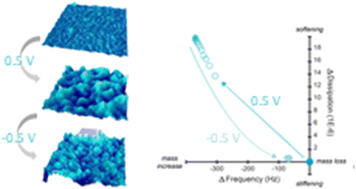 Graphical abstract: Electrochemical modulation of mechanical properties of glycolated polythiophenes