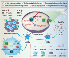 Graphical abstract: Glutathione depletion-mediated in situ transformation of Prussian blue nanocubes for enhanced tumor-specific imaging and photoimmunotherapy