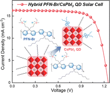 Graphical abstract: Efficient and stable hybrid conjugated polymer/perovskite quantum dot solar cells