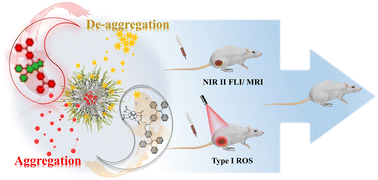 Graphical abstract: Multifunctional nanomicelles constructed via an aggregation and de-aggregation strategy for magnetic resonance/NIR II fluorescence imaging-guided type I photodynamic therapy