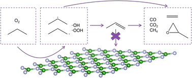 Graphical abstract: From microkinetic model to process: understanding the role of the boron nitride surface and gas phase chemistry in the oxidative dehydrogenation of propane