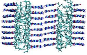 Graphical abstract: Altering the structures of 3D supramolecular assemblies from melamine and cyanuric acid derivatives in water