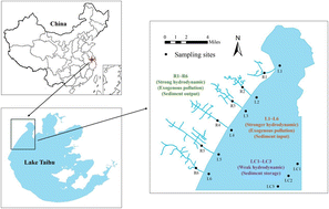 Graphical abstract: Arsenic source-sink dynamics under phosphorus competition in sediments from river–lake connected systems