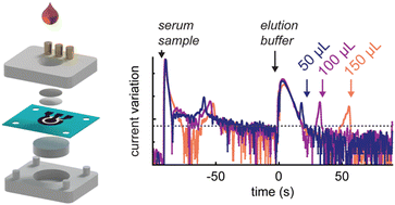 Graphical abstract: Quantitative reagent monitoring in paper-based electrochemical rapid diagnostic tests