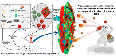 Graphical abstract: Shielding against breast tumor relapse with an autologous chemo-photo-immune active Nano–Micro-Sera based fibrin implant